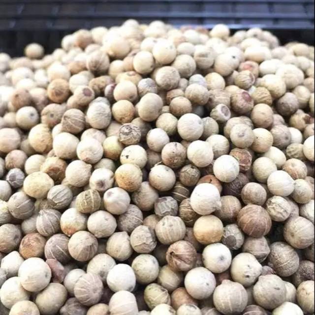 

Merica / merica butir / lada 50gr | 100gr