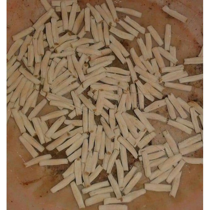 Seed/Biji/Benih Adenium