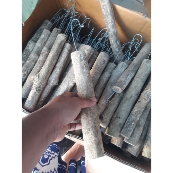 kayu kopi + cantolan  untuk anggrek