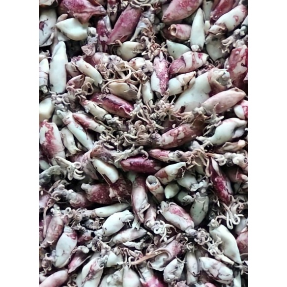 

Cumi Asin Rebus 250 gr