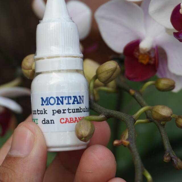 

Montan