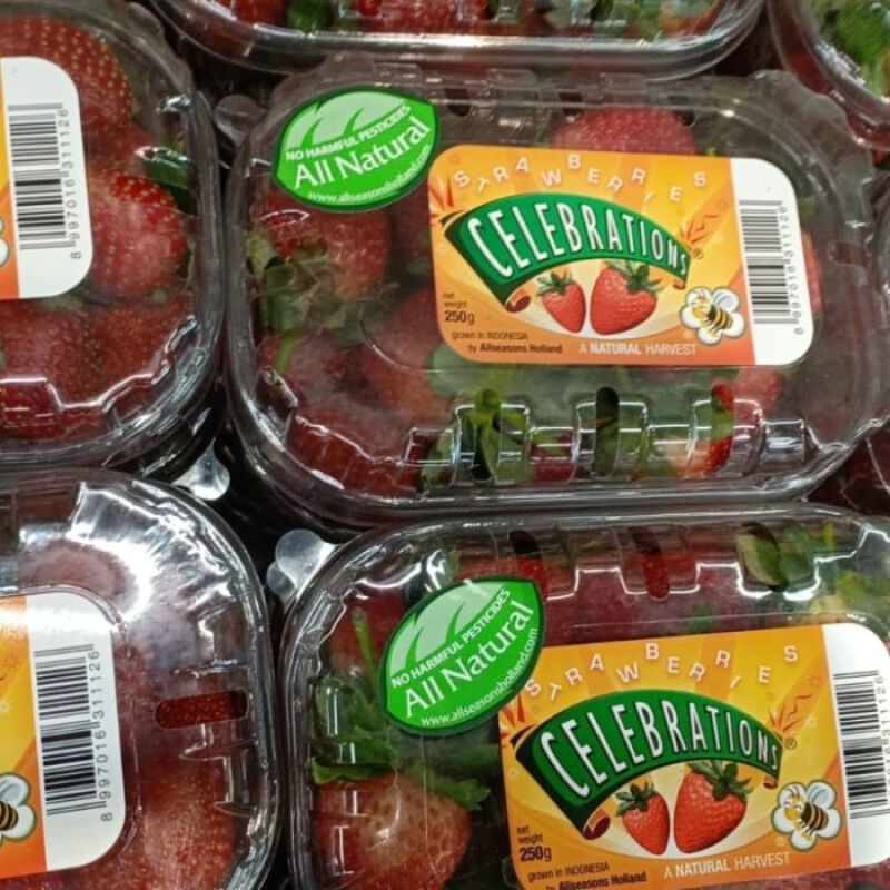 

Strawberry Celebration Lokal Premium - tokobuahonline