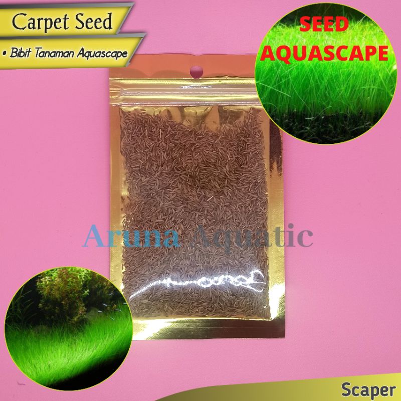 CARPET SEED AQUASCAPE BIBIT TANAMAN AQUASCAPE AQUARIUM