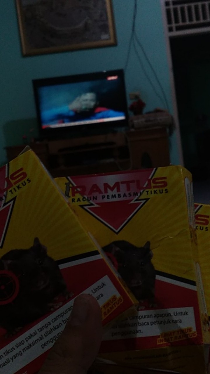 Ramtus Racun Tikus Ampuh Mati Kering Tidak Bau Pembasmi Curut Wirog Mencit Dirumah Di Mobil 6 Pack