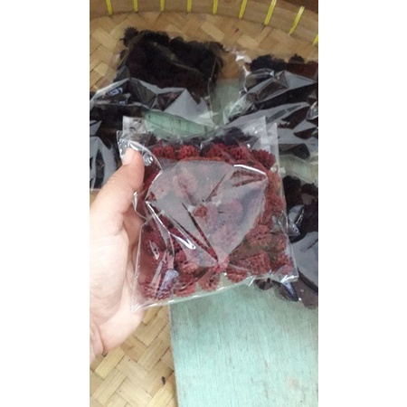 biji cemara laut / durenan