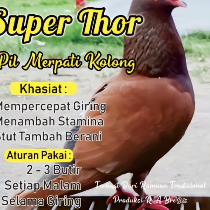 

5.5 Promo Brand/5.5 Promo >>/【Original✔️】/Mall✔️/「BIG SALE」 Super thor jamu merpati isi 120 butir terlaris COD✔