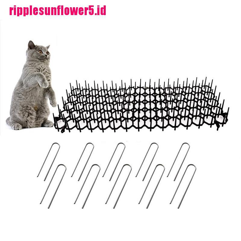 # Kaos T-Shirt Wanita Lengan Pendek Motif Print #Alat Pengusir Kucing Untuk Taman