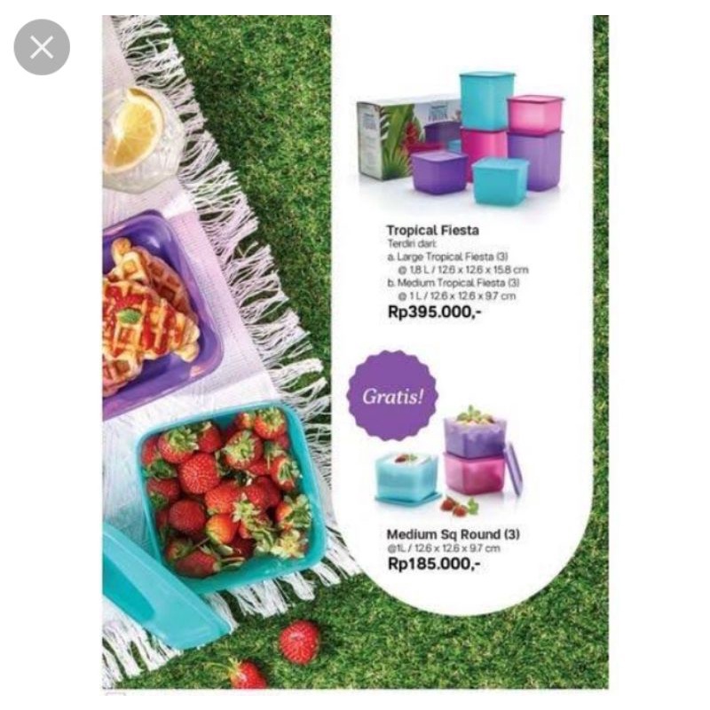 Tropical fiesta set tupperware ,/ toples snack set tupperware isi 9 / toples jajan tupperware / topl