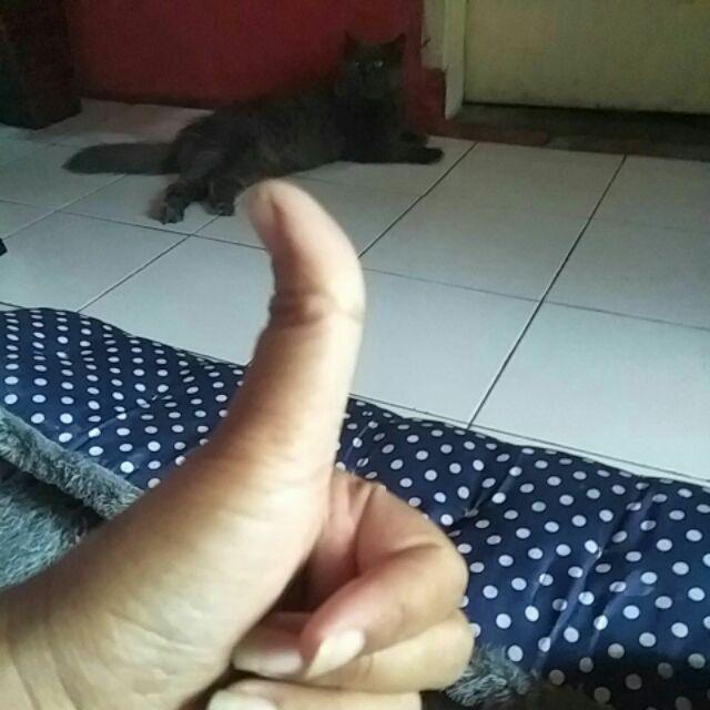 Kalung Army Pria Wanita Muslim Ayat Kursi Stainless Steel Top Quality / Kalung Kaligrafi Arab