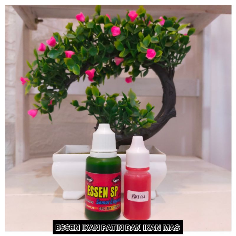 ESSEN IKAN MAS DAN PATIN