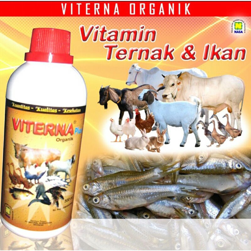 Viterna Nasa,  penggemuk hewan ternak,  penggemuk sapi,  babi, kambing, ayam