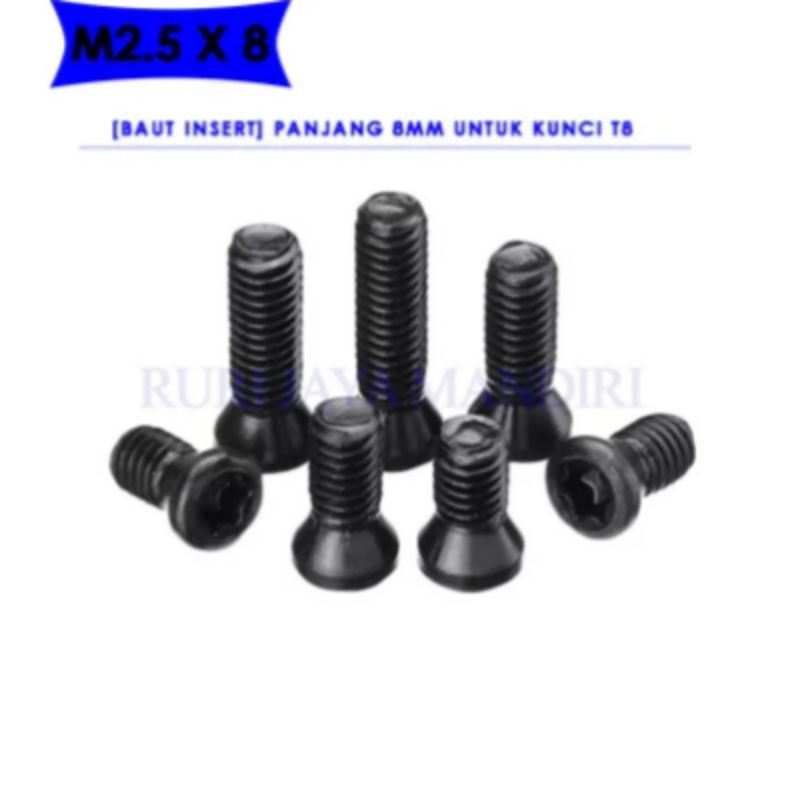 baut insert. baut pahat bubut m2.5x8mm long kunci T8
