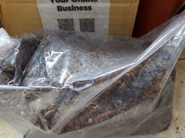 Media Tanam Kaktus/sukulen