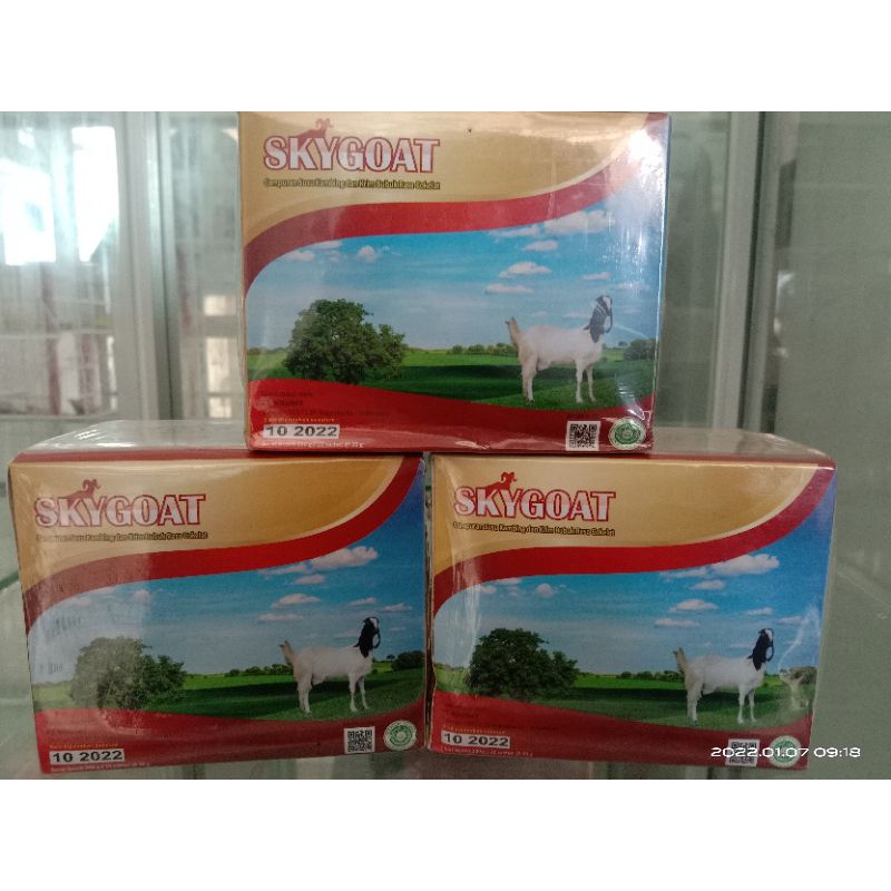 

SKYGOAT COKELAT