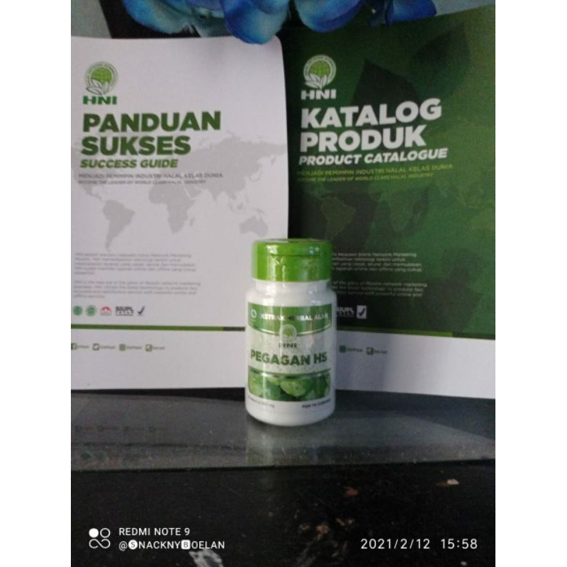 Pegagan HNI