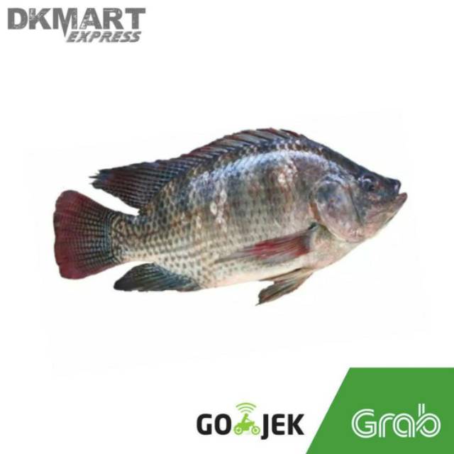 Ikan mujaer segar 500 gram