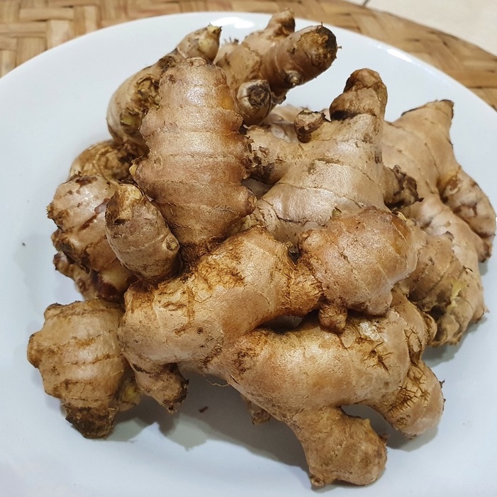 

JAHE, LENGKUAS, KENCUR, KUNYIT, TEMULAWAK