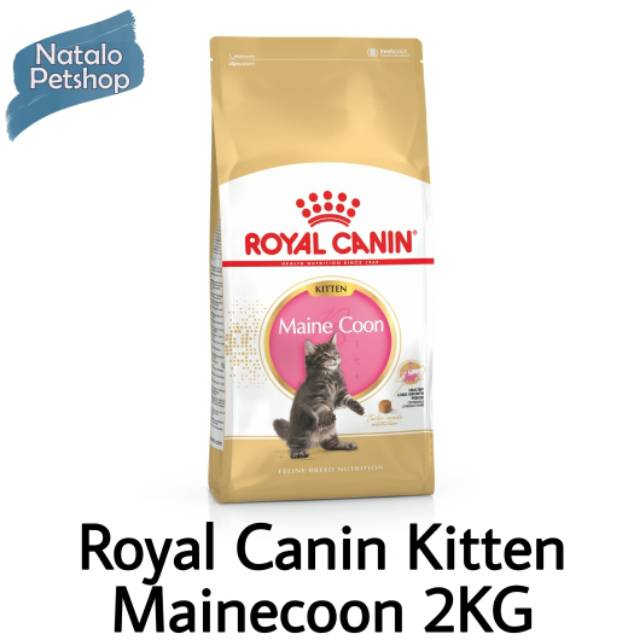 Royal Canin Kitten Mainecoon Maine Coon 2KG/Makanan Anak Kucing Besar