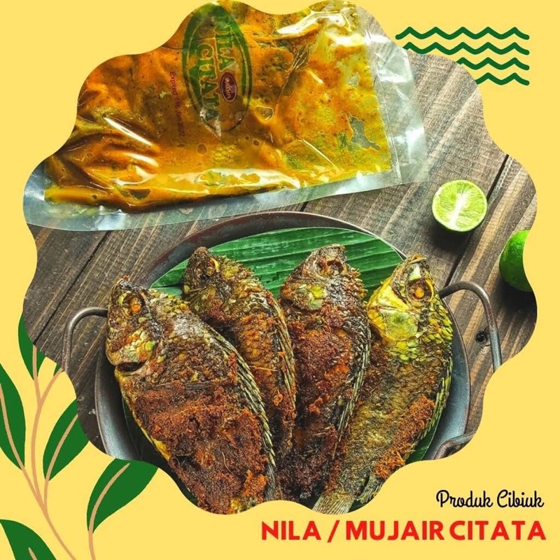 Jual Ikan Nila Bumbu Citata Cirata Produk Cibiuk Ekor Sambal