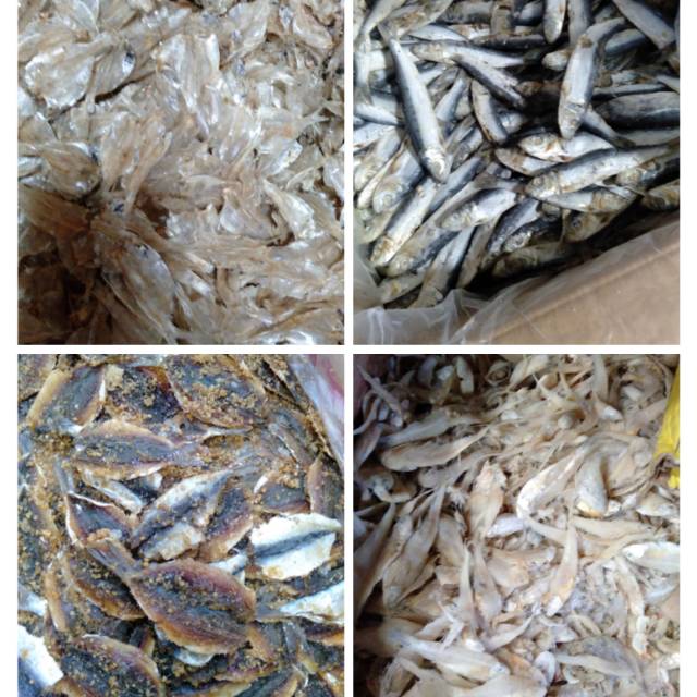 Ikan Asin Gabus / Rebon / Sepat / Bulu Ayam / Dendeng / Japuh / Kapasan / Tembang / Petek