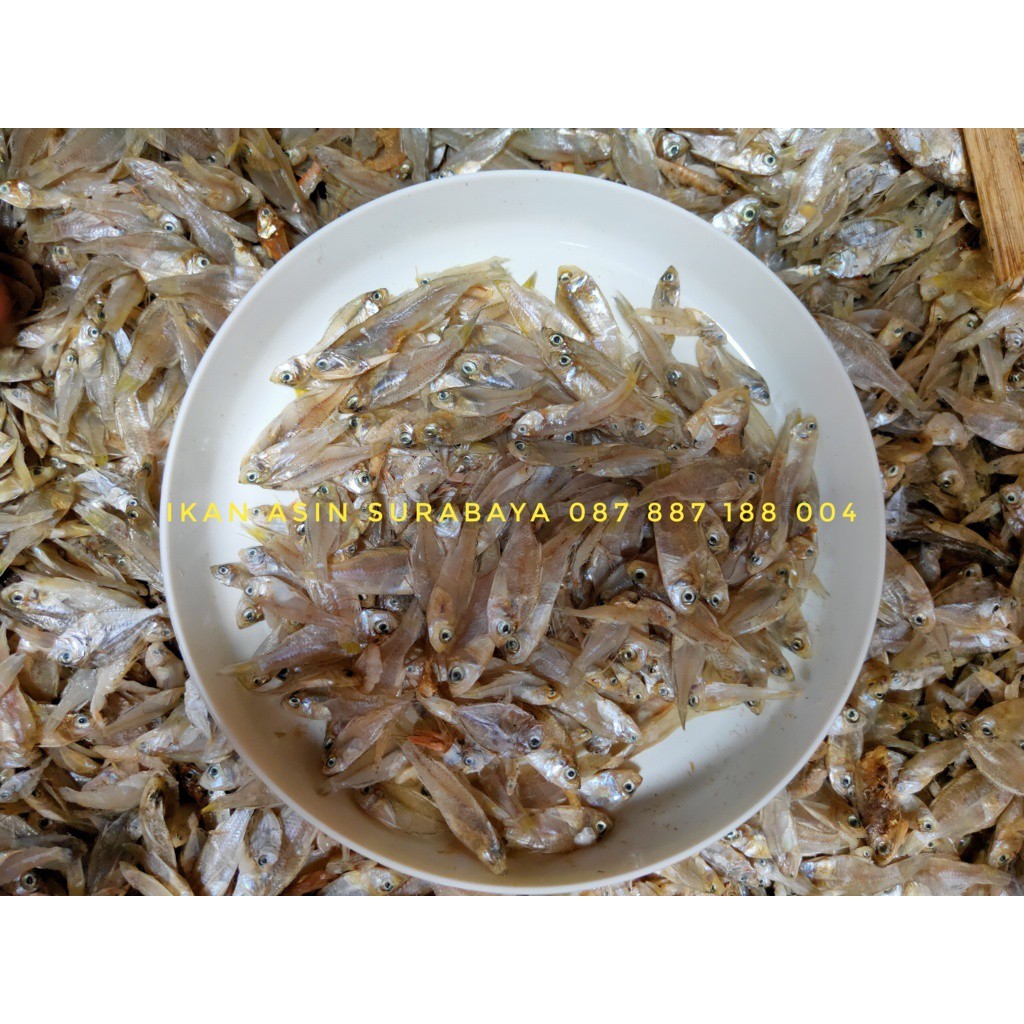 

Ikan Trasak Pangkah Kering (Kemasan plastik vacuum press)