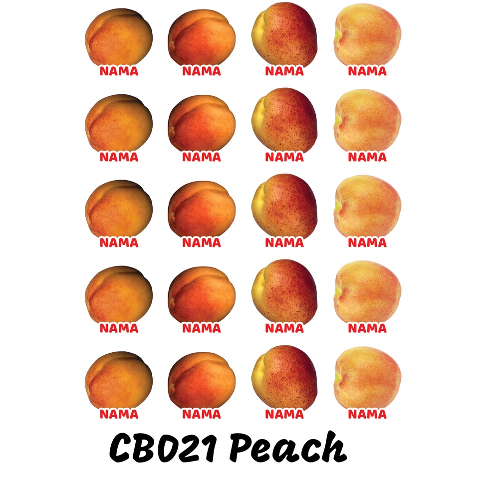 

Sticker Nama Cutting Label Waterproof Tahan Air Peach (CB021)