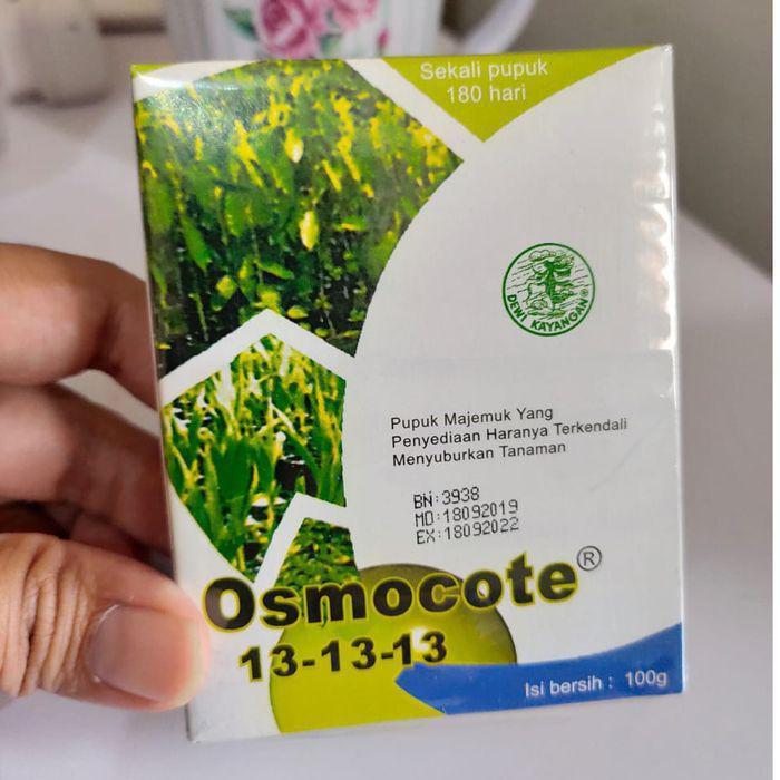 isi 100gr Pupuk Osmocote Dekastar 131313