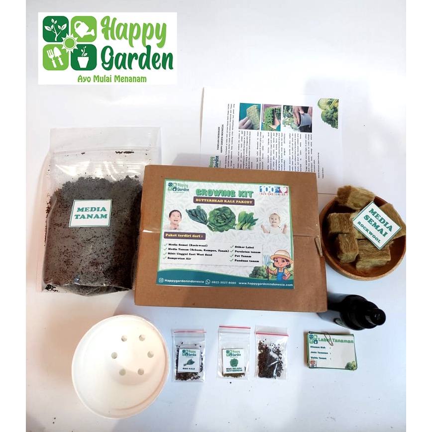 PAKET MENANAM ANAK GROWING KIT SELADA BUTTERHEAD ,KALE DAN POKCOY MAINAN ANAK