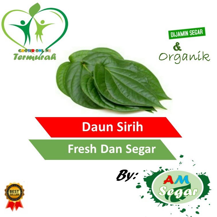 

PROMO Daun sirih segar/ Ready stok daun sirih segar ORGANIK/ Daun sirih ijo HERBAL