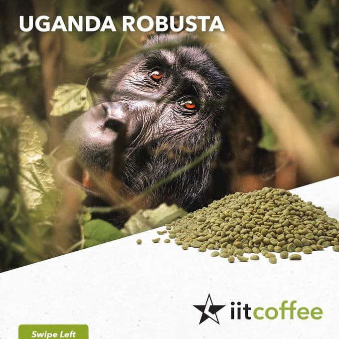 

Robusta Green Beans - Uganda G1 Natural 1Kg Promo