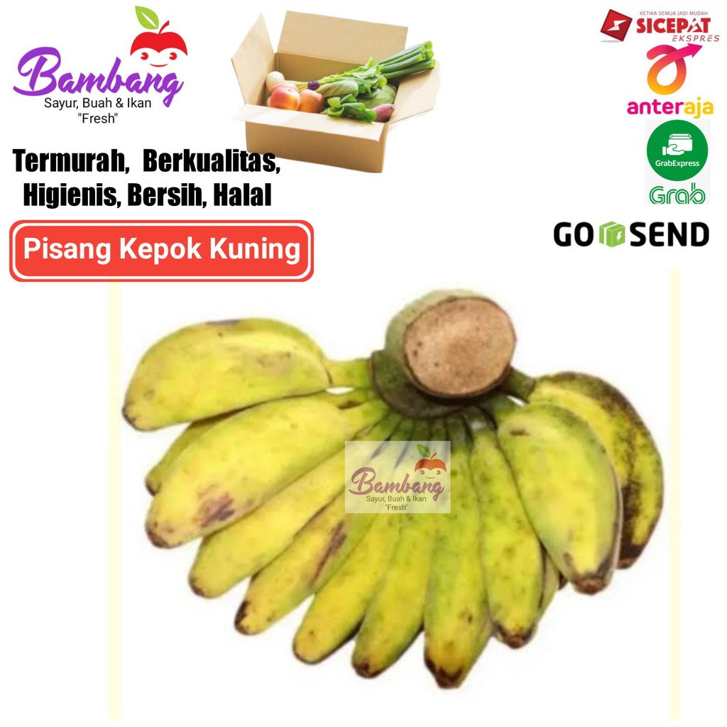 

pisang kepok kuning pisang fresh 1 sisir