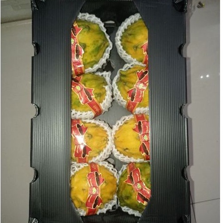 

Buah naga kuning dragon yellow 2.5 kg / 8 pics / karton