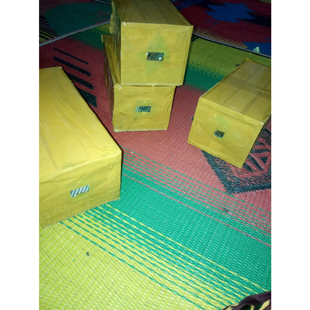 Hewan Peliharaan Bee Tak Bersengat Koloni Kotak Lanceng Biroi Super