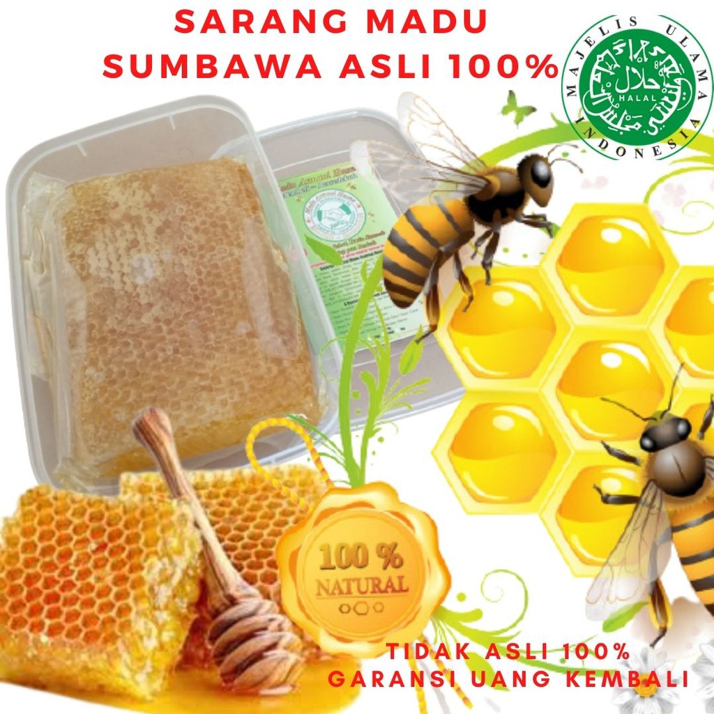 

Sarang Madu Asli 100% 500gram, Madu Sumbawa, Madu Hutan, Madu Manis, Garansi 100% Uang Kembali