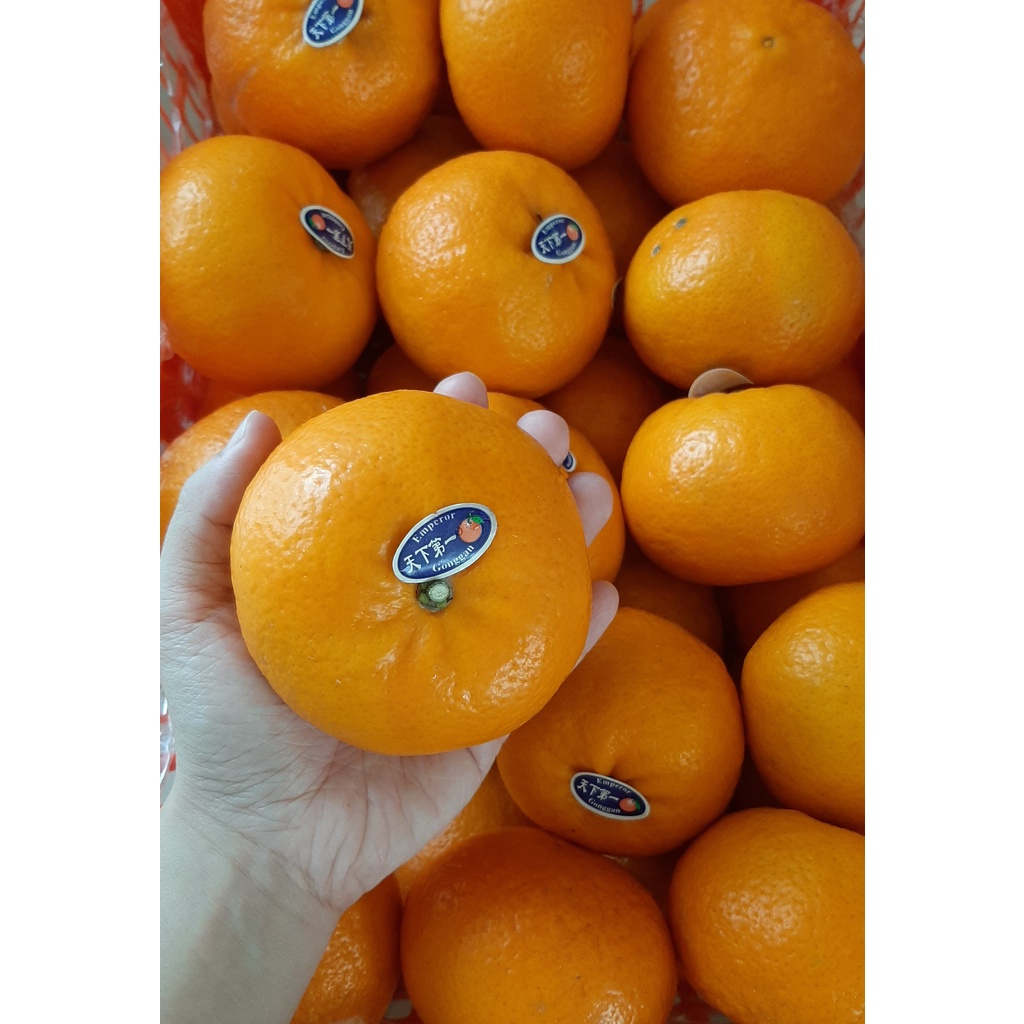 

Jeruk Wogan RRC/ Jeruk Kupas Buah Segar Import