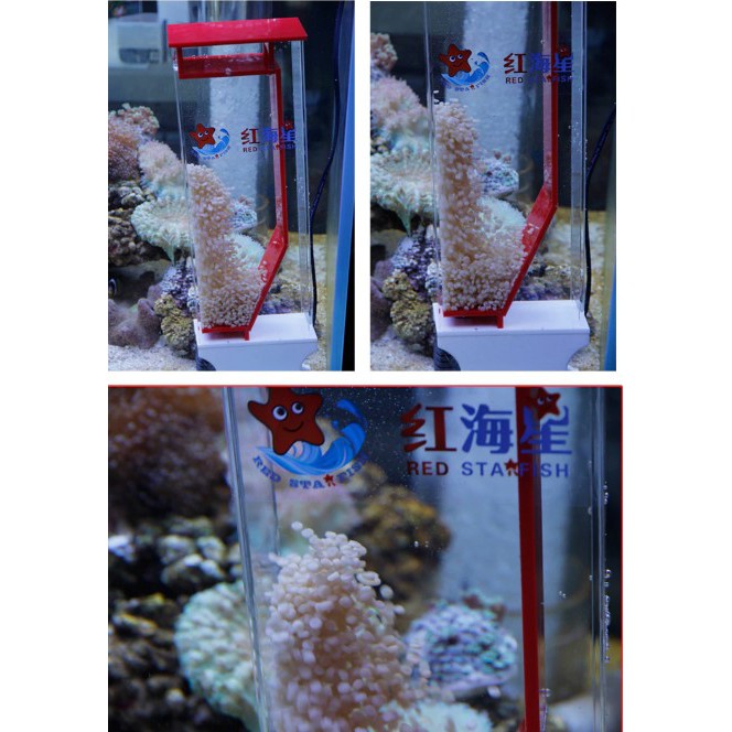 Red Starfish Mini-100x Reactor Fluidised Reef Bio Pellets Akuarium