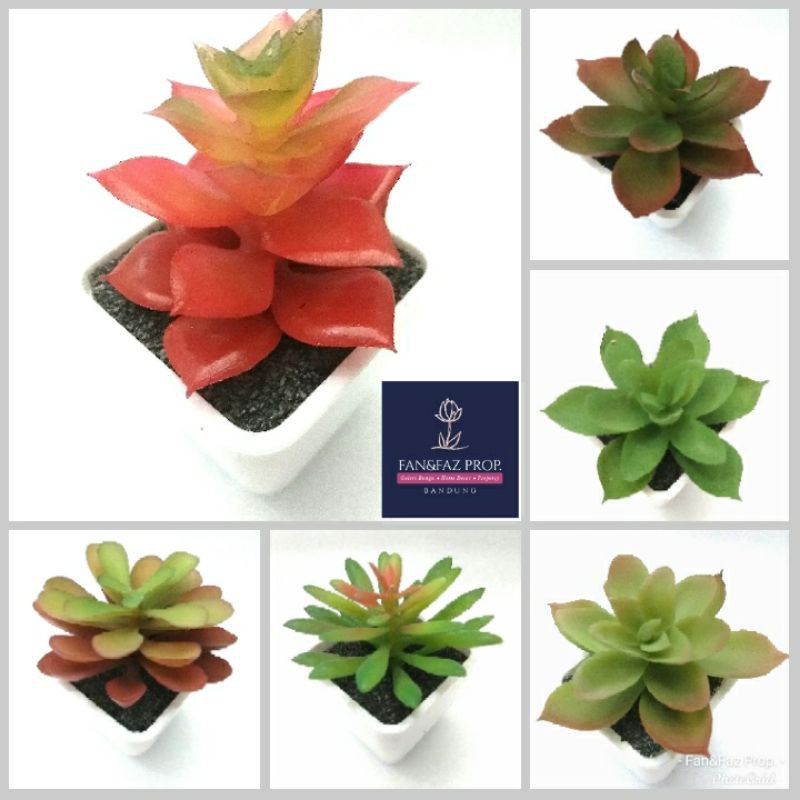 Succulent Artificial Dekorasi Murah Sukulen Palsu dalam Pot Plastik Kotak Mini