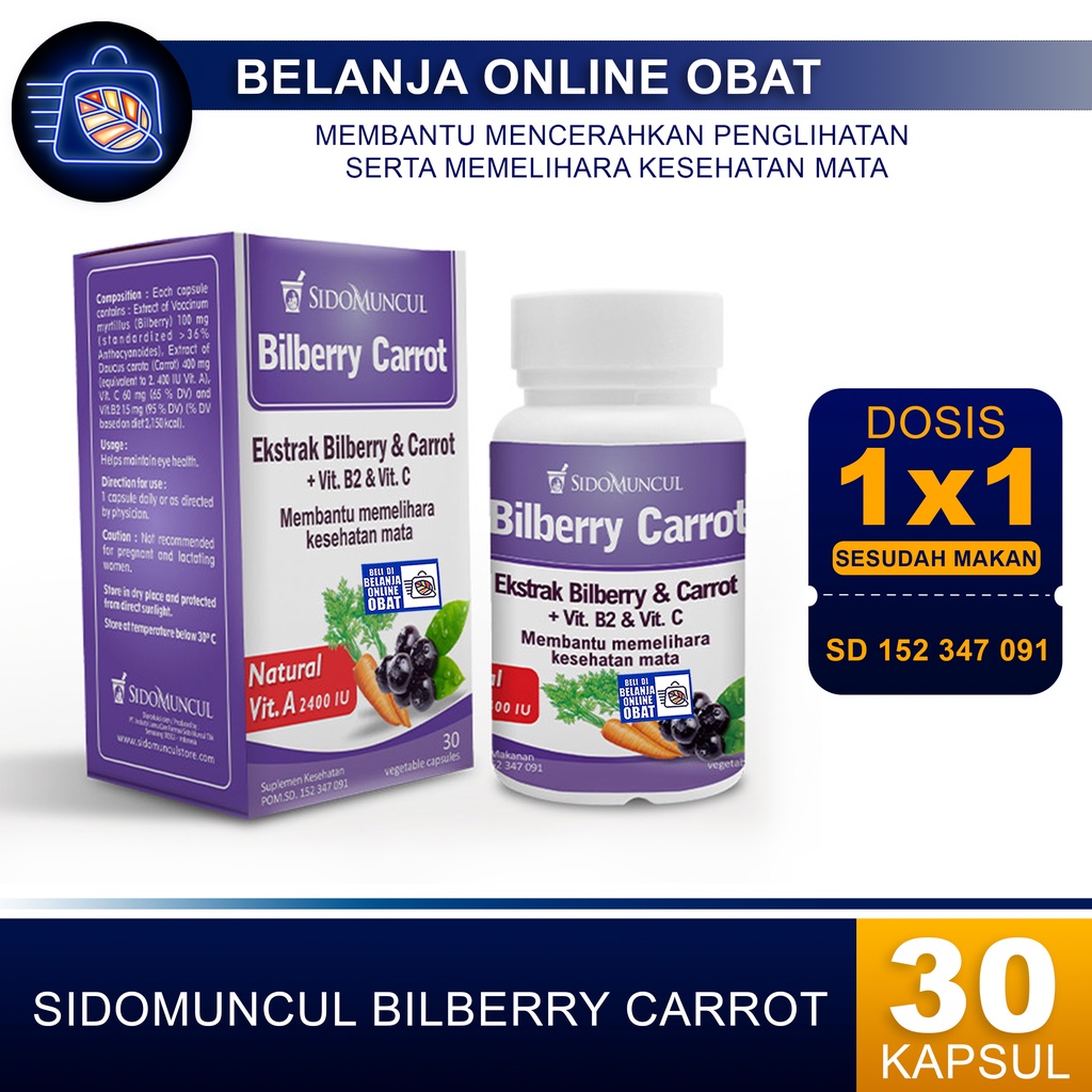 BILBERRY CARROT // Memelihara Kesehatan Mata