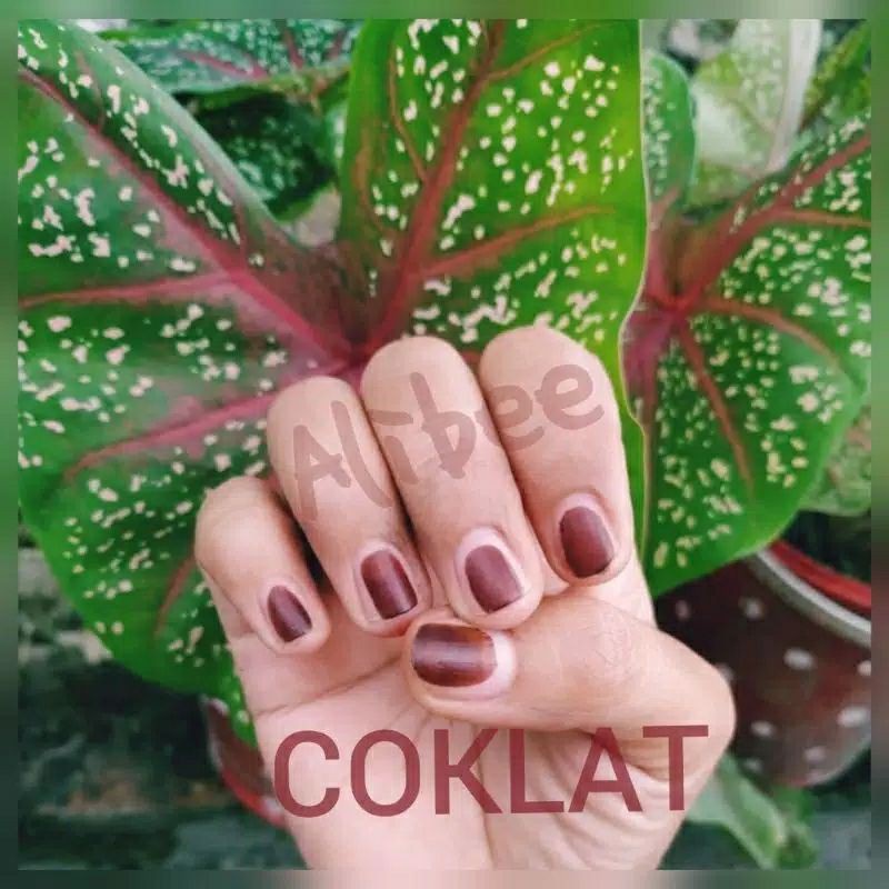 HENNA NAIL BUBUK / PACAR KUKU HENNA