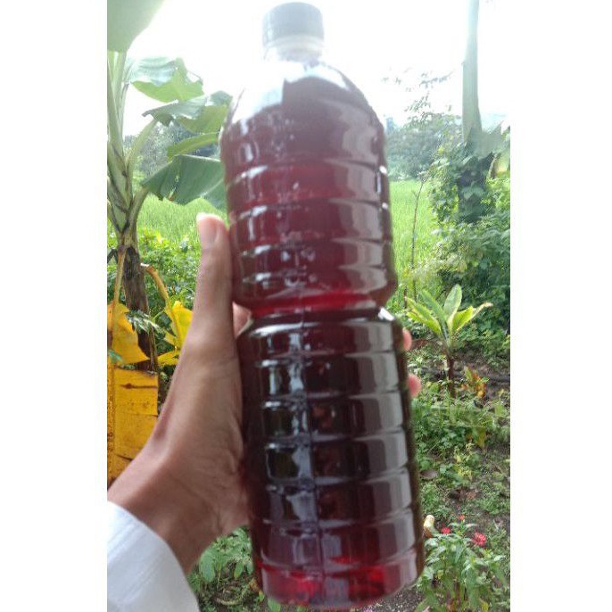 

MADU HITAM LEBAH HUTAN DIJAMIN ASLI 1 LITER