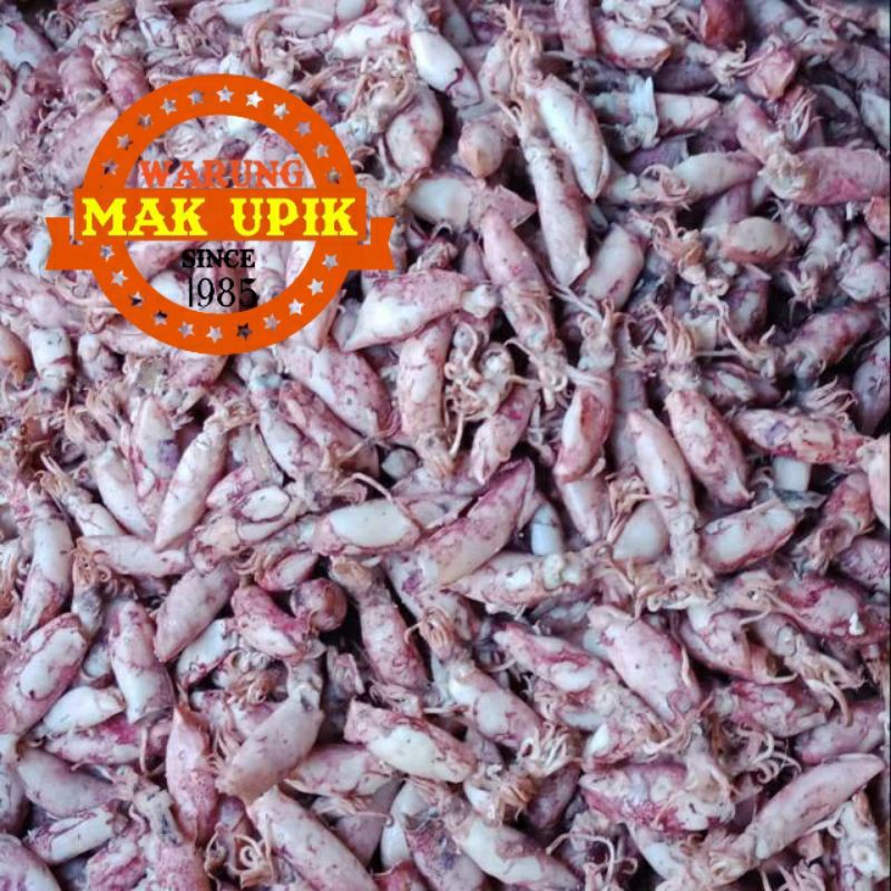 

ikan asin cumi basah , cumi asin basah 100 gr / 250 gr / 500 gr
