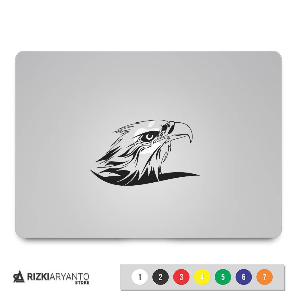 510 Gambar Burung Elang Keren HD Terbaik