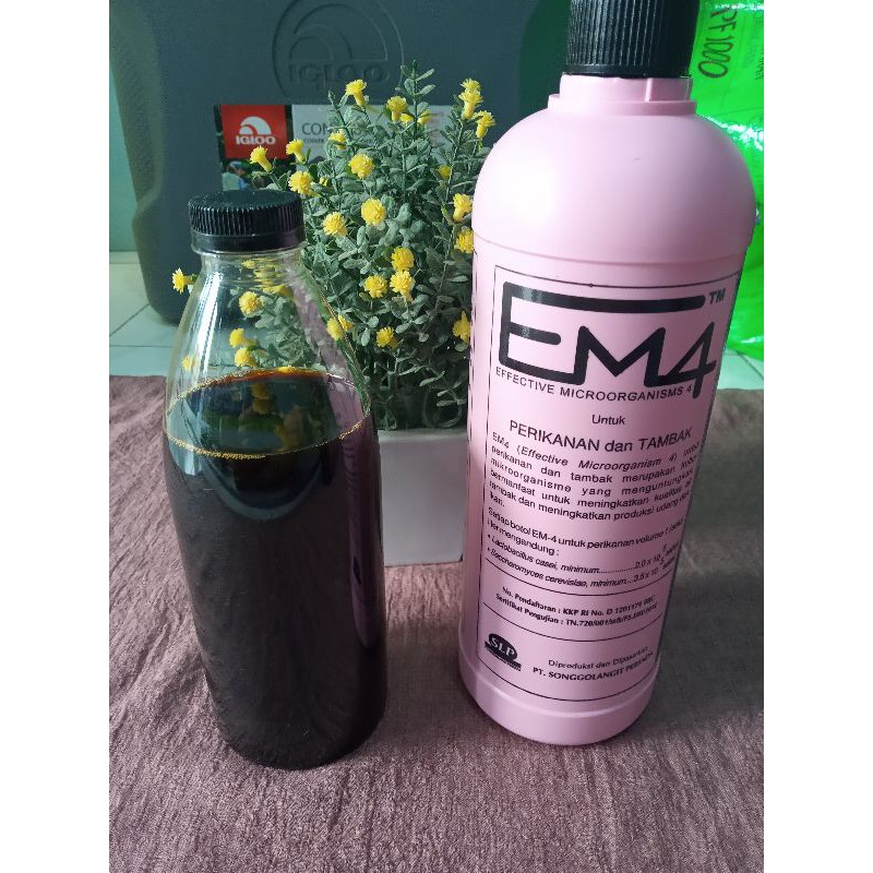 EM4 PERIKANAN dan tambak / Probiotik Ikan (kutu air, cupang, dkk)