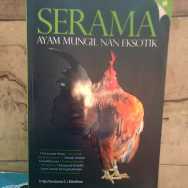 

serama ayam mungil nan eksotik