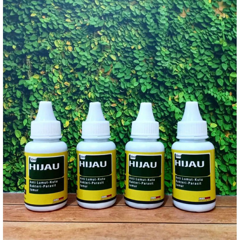 HIJAU (KHUSUS IKAN CUPANG)