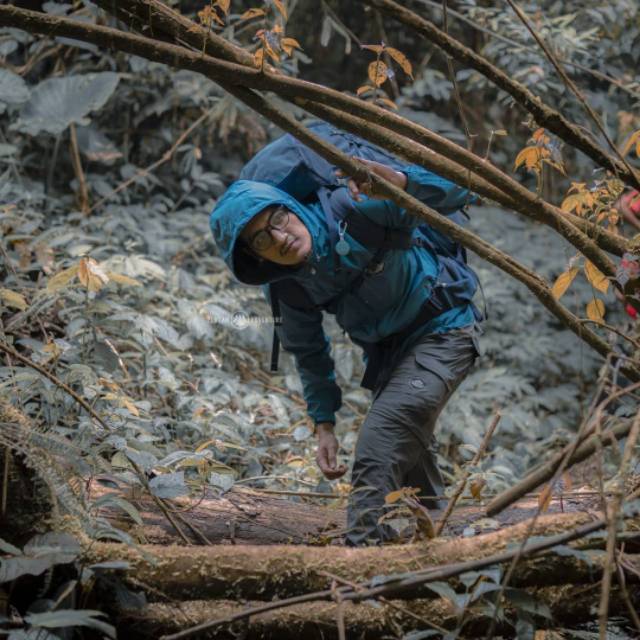 Jaket Harian / Jaket Gunung Makalu Denali GTX Waterproof Original