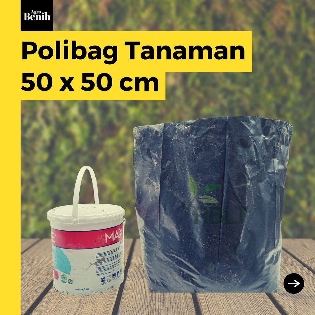Polybag 50x50 Polybag Tanaman 50 x 50 Tebal Jumbo Plastik Pot Polibeg Bibit Jahe Polybeg Besar Awet