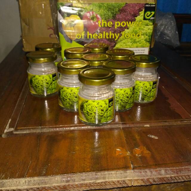 Benih selada lollobionda dabi enza zaden 1000 pills