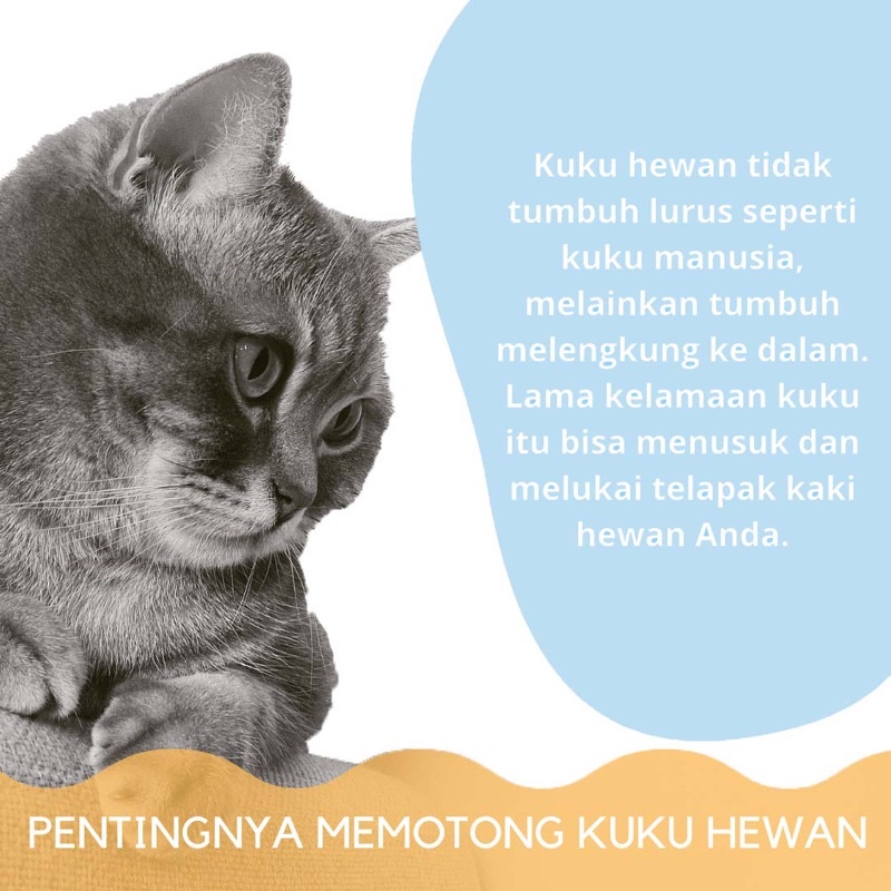 Gunting Kuku Kucing Anjing Clipper Hewan