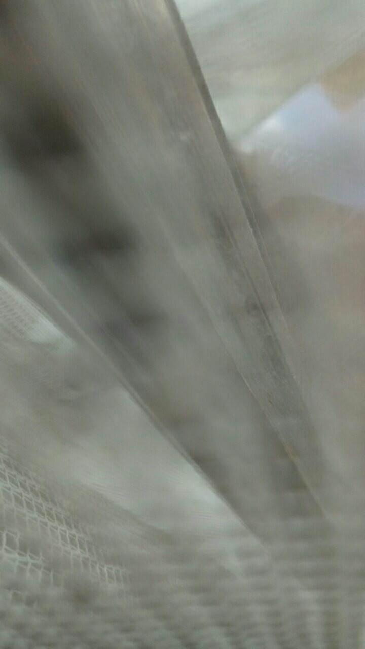 Bswart Batik Hrb026 Kenongo Hem Pendek Padi Pekalongan M L Xl Batik Pria Murah Modern Grosir Eceran